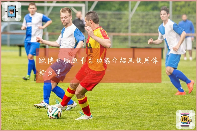 欧博电脑版平台功能介绍及使用体验分享